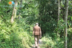 Jungle walk around Chalamthang Home Stay