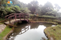 Tendong Bio Diversity Park near Chalamthang