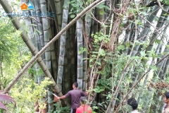 bamboo-workshop